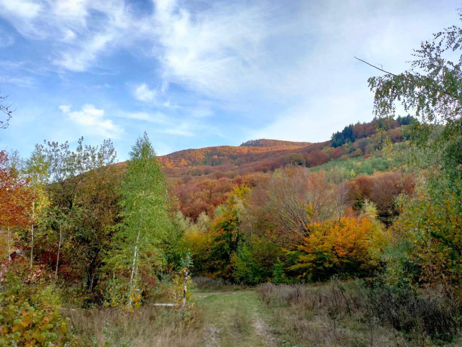 Соколів Камінь Novoselitsa  Eksteriør bilde