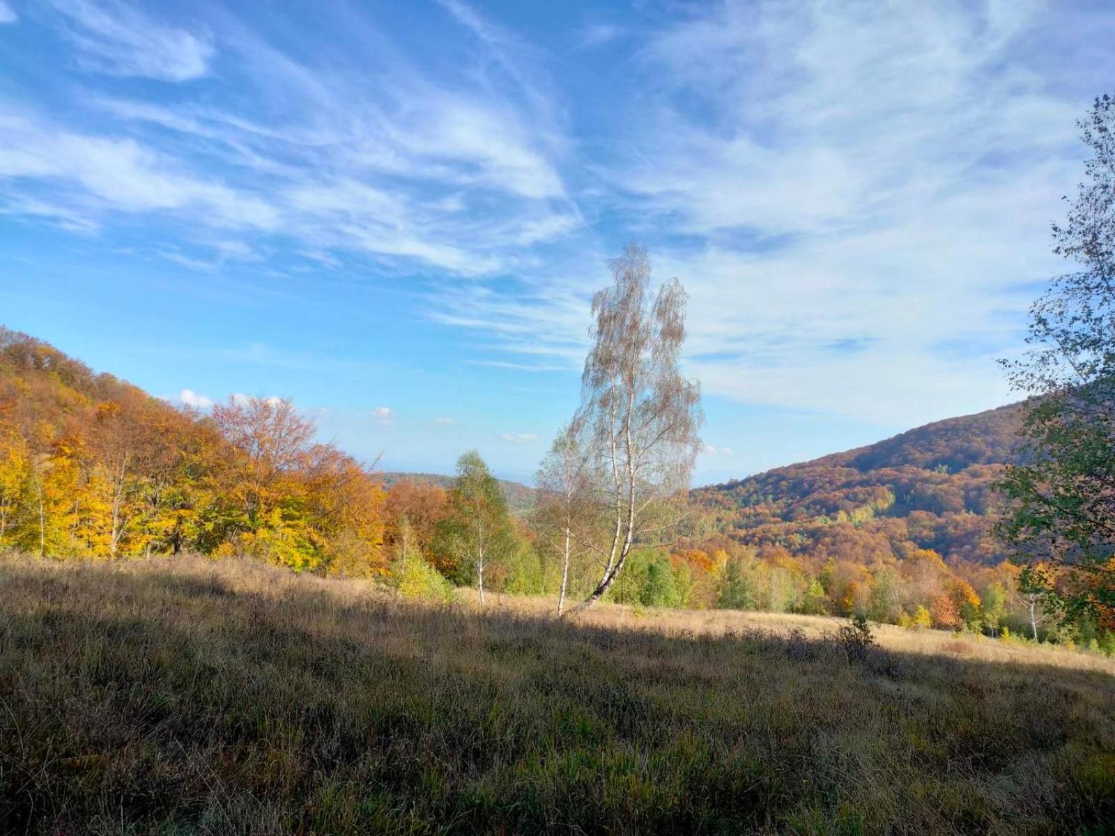 Соколів Камінь Novoselitsa  Eksteriør bilde